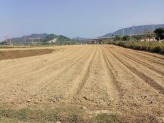-光明小镇欢乐田园