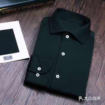  针织系列，墨绿 意式一片领，高弹针织衬衫