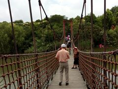 -吴淞炮台湾湿地森林公园烧烤区