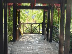 -崇阳三特浪口温泉