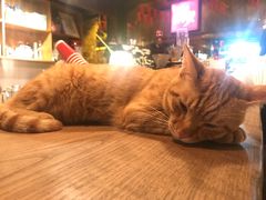 -新月集庭院咖啡馆(老邮局店)