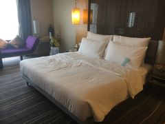 -青岛富力艾美酒店