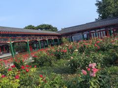 -中山公园音乐堂