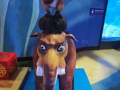 -烟台海昌鲸鲨海洋公园