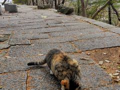 -崂山巨峰游览区