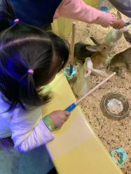 -酷嗒动物文化乐园(cutezoo西溪乐天城店)