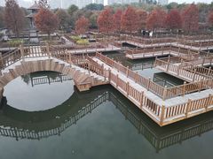-五缘湾湿地公园