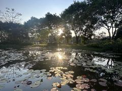 -云溪植物园