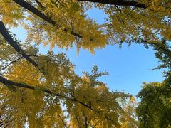 -亮亮拉面(师范路店)