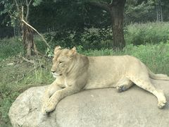 -西安秦岭野生动物园