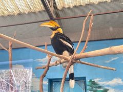 -沈阳森林动物园