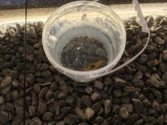 -DGE季风钓虾营地·团建·聚会