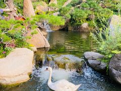 -罗红摄影艺术馆