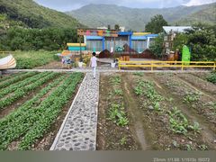 -宁波九龙湖开元度假村
