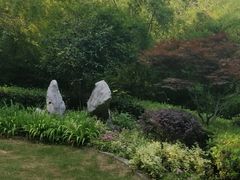 -菊花台公园