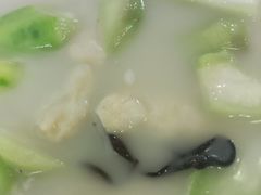 -东鸽皇(奥园·中环广场店)