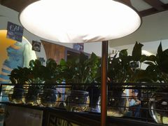 -爱上层楼咖啡馆(为公桥店)