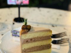 -gaga(深圳南山益田假日广场店)