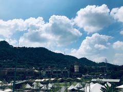 -重庆海昌加勒比海水世界
