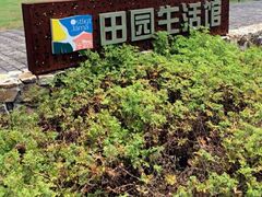 -田园东方蜜桃村的田野营地