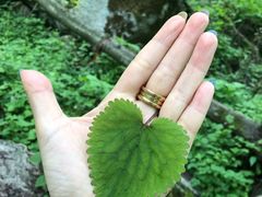 -陕西省红河谷森林公园