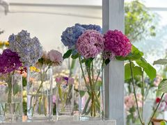 -Gigi Florist·Dk Coffee