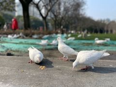 -人民广场