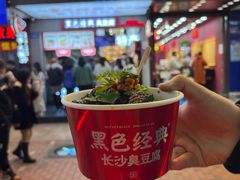 -黑色经典臭豆腐·湖南特产(潇湘文化店)