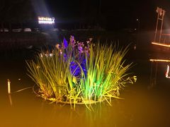 -晓琦农家菜馆·地道农家菜