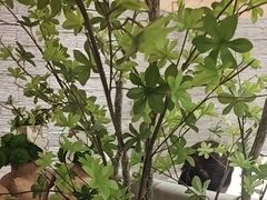 -春熙小馆(乘风庄店)