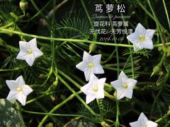 -天芳悦潭度假村温泉