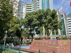 -武汉大学人民医院(首义院区)