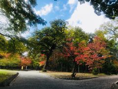 -北海道神宫