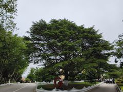 -青岛德国总督楼旧址博物馆