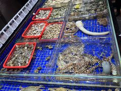 -高佳庄·舟山海鲜(海景旗舰店)