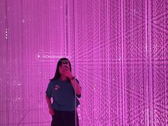 -澳门威尼斯人综合度假区