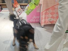 -FAELING PETS美天灵宠物(富力广场店)