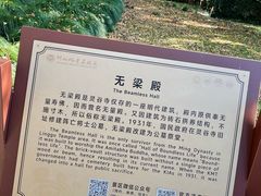 -灵谷景区