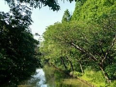 -同里国家湿地公园