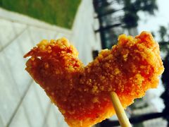 -正新鸡排(金进店)