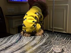 -音悦汇量贩KTV(相城店)