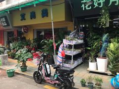 -溪岸路花鸟市场