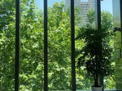 -VIP 威尔仕健身·游泳(嘉华中心店)