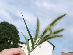 -石宝寨