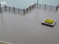 DSC00436-千岛湖品鱼馆(钓鱼岛店)