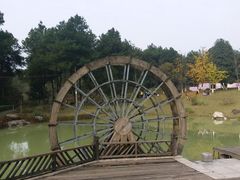 -铁山坪森林公园