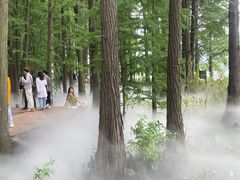-东湖落雁景区