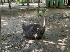 -遇见世外桃源教育农场