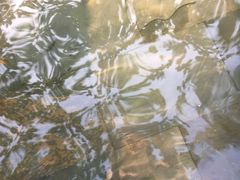 -三亚珠江南田温泉度假区