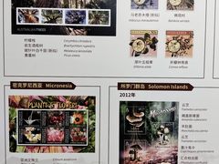 -国家植物园南园